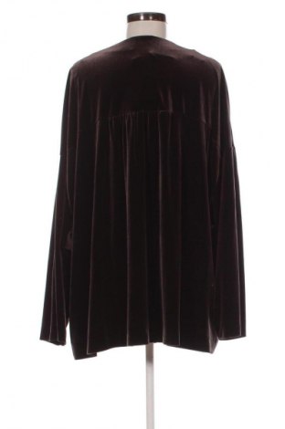 Damen Shirt Fiorella Rubino, Größe L, Farbe Braun, Preis € 36,99