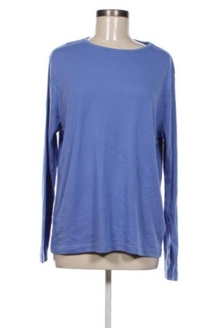 Damen Shirt Givoni, Größe XL, Farbe Blau, Preis 18,99 €