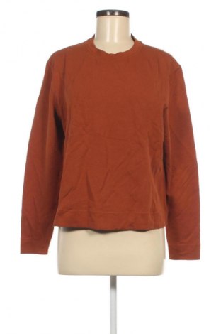 Damen Shirt Mango, Größe L, Farbe Braun, Preis 11,99 €