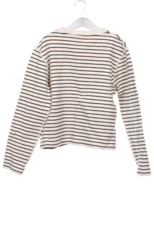 Γυναικεία μπλούζα Massimo Dutti, Μέγεθος XS, Χρώμα Πολύχρωμο, Τιμή 24,55 €