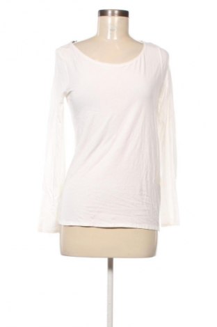 Damen Shirt Massimo Dutti, Größe M, Farbe Weiß, Preis € 24,49