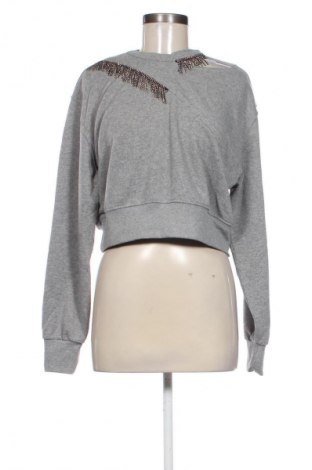Damen Shirt Pinko, Größe S, Farbe Grau, Preis € 63,00