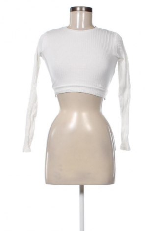 Damen Shirt Sinsay, Größe S, Farbe Weiß, Preis € 6,99