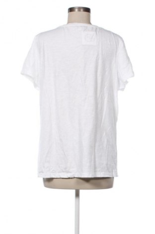 Damen Shirt Soccx, Größe XL, Farbe Mehrfarbig, Preis € 17,99