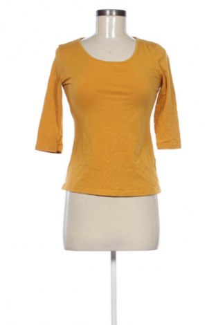 Γυναικεία μπλούζα Street One, Μέγεθος S, Χρώμα Πορτοκαλί, Τιμή 17,39 €