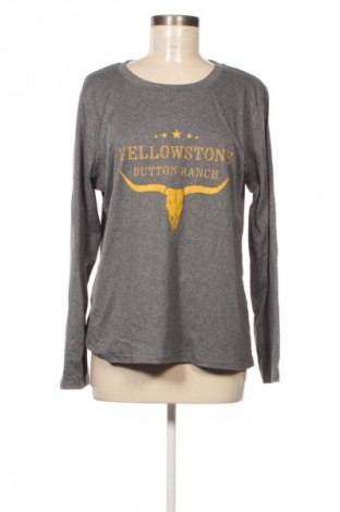 Dámska blúza Unbranded, Veľkosť L, Farba Sivá, Cena  4,95 €