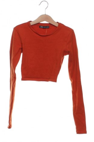 Damen Shirt Zara, Größe S, Farbe Braun, Preis € 14,00