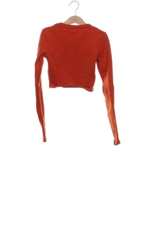 Damen Shirt Zara, Größe S, Farbe Braun, Preis € 14,00