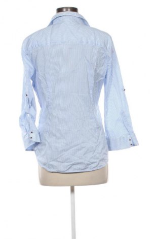 Γυναικεία μπλούζα Zara, Μέγεθος XL, Χρώμα Πολύχρωμο, Τιμή 13,81 €