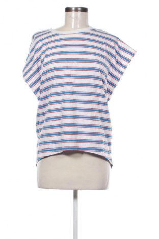 Γυναικεία μπλούζα Zara, Μέγεθος M, Χρώμα Πολύχρωμο, Τιμή 8,99 €