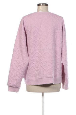 Damen Shirt Zara, Größe L, Farbe Mehrfarbig, Preis € 14,00