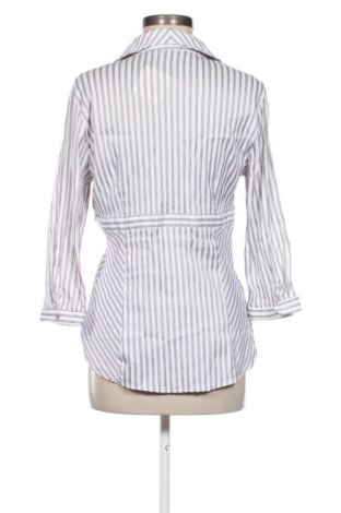 Γυναικεία μπλούζα Zara, Μέγεθος L, Χρώμα Πολύχρωμο, Τιμή 9,99 €