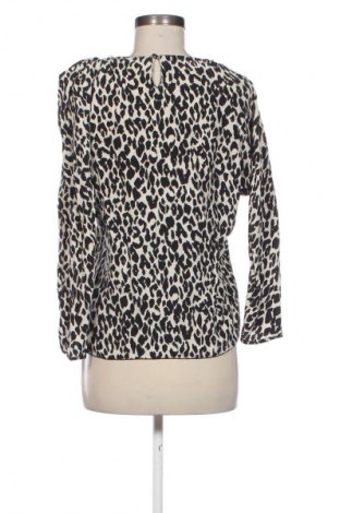 Damen Shirt Zara, Größe L, Farbe Mehrfarbig, Preis 9,99 €