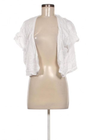 Damen Strickjacke Primark, Größe L, Farbe Mehrfarbig, Preis € 8,99