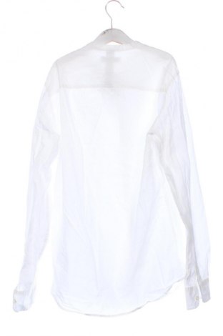 Damenbluse Bershka, Größe XS, Farbe Weiß, Preis € 12,83