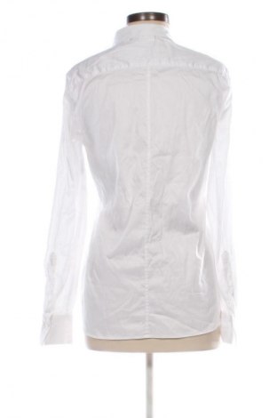 Damenbluse Eterna, Größe M, Farbe Weiß, Preis € 28,00