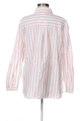 Dámska košeľa  Gina, Veľkosť XL, Farba Viacfarebná, Cena  8,95 €