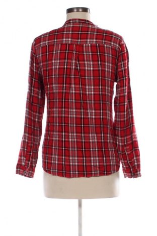 Damenbluse Laura Ashley, Größe M, Farbe Mehrfarbig, Preis 13,99 €