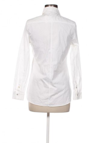 Damenbluse Massimo Dutti, Größe M, Farbe Weiß, Preis € 28,00