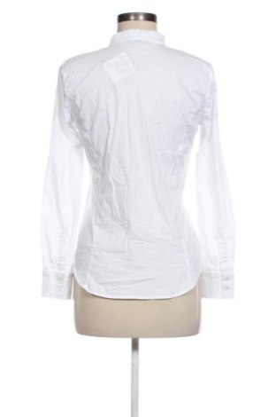 Damenbluse More & More, Größe S, Farbe Weiß, Preis € 16,99