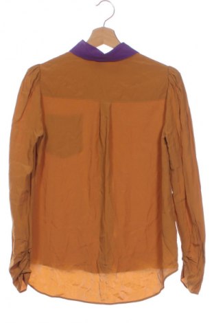 Γυναικείο πουκάμισο Pinko, Μέγεθος XXS, Χρώμα Πολύχρωμο, Τιμή 70,08 €