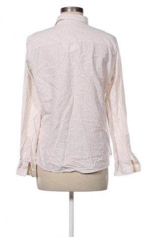 Damenbluse Polo Club, Größe XL, Farbe Mehrfarbig, Preis € 23,99