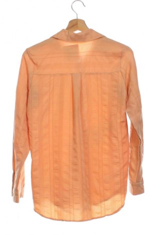 Damenbluse Sinsay, Größe XXS, Farbe Braun, Preis € 12,79