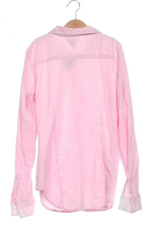 Damenbluse U.S. Polo Assn., Größe XS, Farbe Rosa, Preis 18,99 €