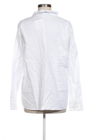 Damenbluse Unbranded, Größe XL, Farbe Weiß, Preis € 7,99