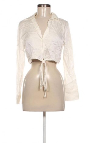 Damenbluse Zara, Größe L, Farbe Ecru, Preis 16,99 €