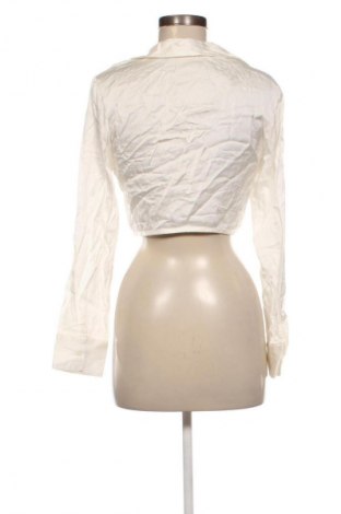 Damenbluse Zara, Größe L, Farbe Ecru, Preis 16,99 €