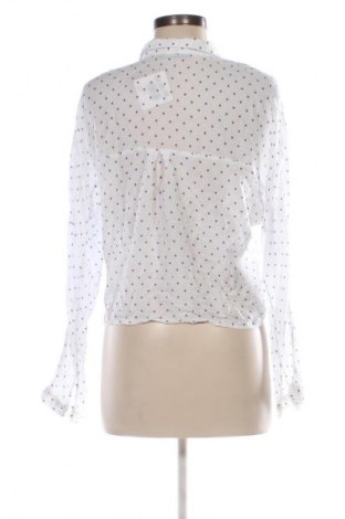 Damenbluse Zara, Größe S, Farbe Mehrfarbig, Preis € 16,99