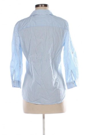 Damenbluse Zara, Größe L, Farbe Mehrfarbig, Preis 9,99 €