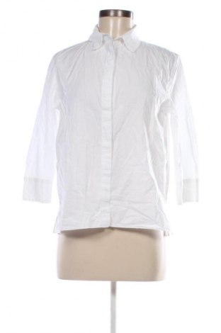 Damenbluse Zara, Größe M, Farbe Weiß, Preis 21,99 €