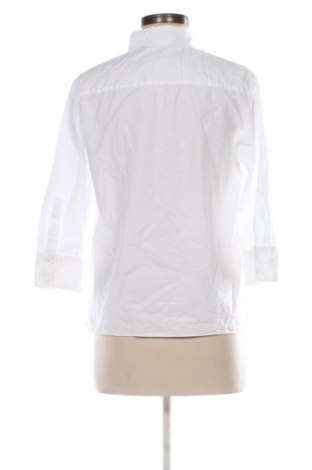 Damenbluse Zara, Größe M, Farbe Weiß, Preis 21,99 €