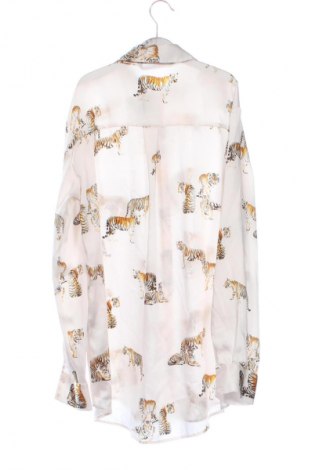 Damenbluse Zara, Größe XS, Farbe Mehrfarbig, Preis € 14,00