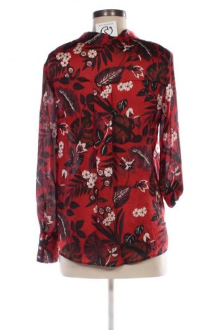 Dámska košeľa  Zara, Veľkosť M, Farba Viacfarebná, Cena  13,80 €