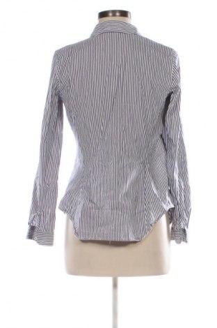 Damenbluse Zara, Größe M, Farbe Mehrfarbig, Preis € 13,80