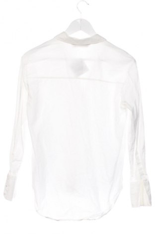 Damenbluse Zara, Größe XS, Farbe Weiß, Preis 9,99 €