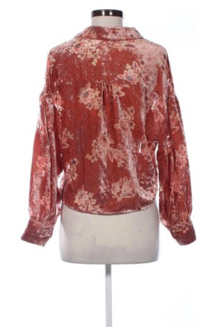 Damenbluse Zara, Größe M, Farbe Mehrfarbig, Preis € 14,99