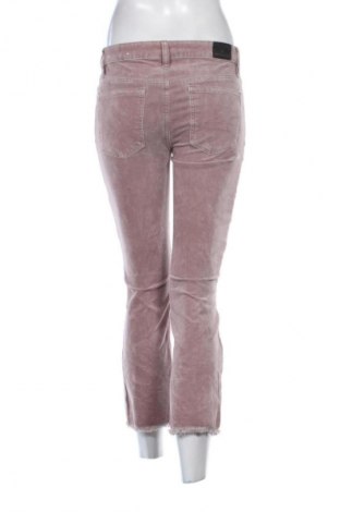 Damen Cordhose American Eagle, Größe S, Farbe Aschrosa, Preis 16,99 €