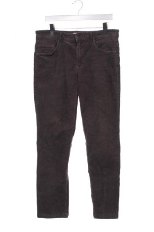 Damen Cordhose C&A, Größe XS, Farbe Grau, Preis € 10,99