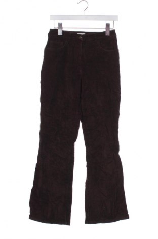 Női kordbársony nadrág Kenny S., Méret XS, Szín Barna, Ár 5 409 Ft