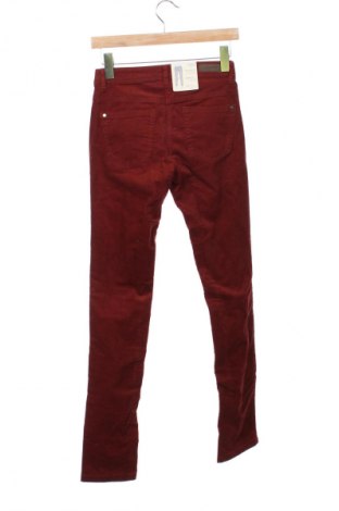 Damen Cordhose Tom Tailor, Größe XS, Farbe Braun, Preis € 55,18