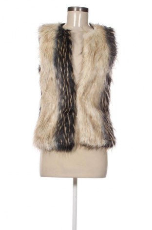 Γυναικείο γιλέκο Amisu, Μέγεθος XS, Χρώμα Πολύχρωμο, Τιμή 12,99 €