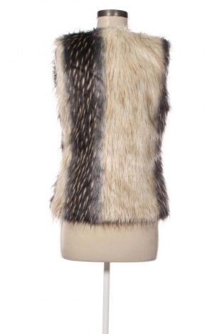 Γυναικείο γιλέκο Amisu, Μέγεθος XS, Χρώμα Πολύχρωμο, Τιμή 12,99 €