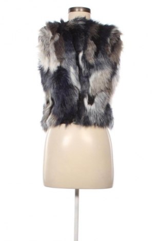 Női mellény David Moore, Méret XS, Szín Sokszínű, Ár 17 119 Ft