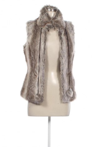 Γυναικείο γιλέκο Madonna, Μέγεθος XS, Χρώμα Πολύχρωμο, Τιμή 7,99 €