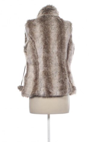 Γυναικείο γιλέκο Madonna, Μέγεθος XS, Χρώμα Πολύχρωμο, Τιμή 7,99 €