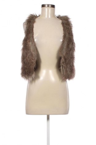 Γυναικείο γιλέκο Pimkie, Μέγεθος S, Χρώμα Πολύχρωμο, Τιμή 5,99 €